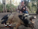 Honey Hole Hunt Club, Big Boar Hog Hunts, Naples, Arcadia Florida